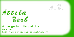 attila werb business card